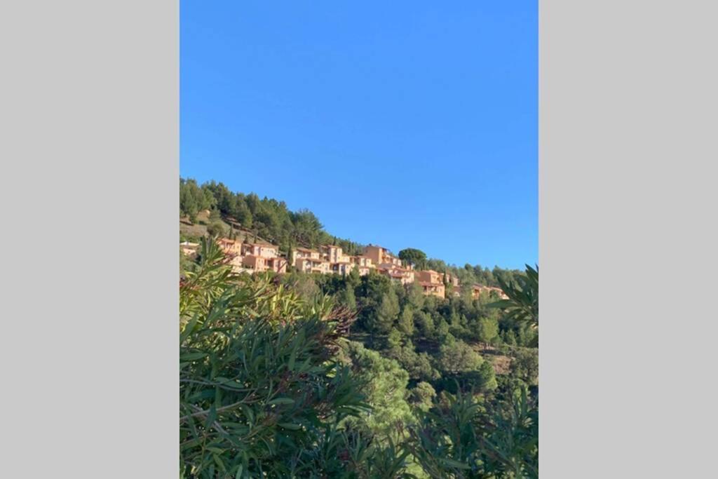 Appartement Tres Bel T3 Avec Splendide Vue