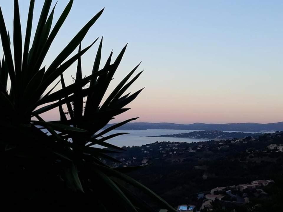 Appartement Tres Bel T3 Avec Splendide Vue