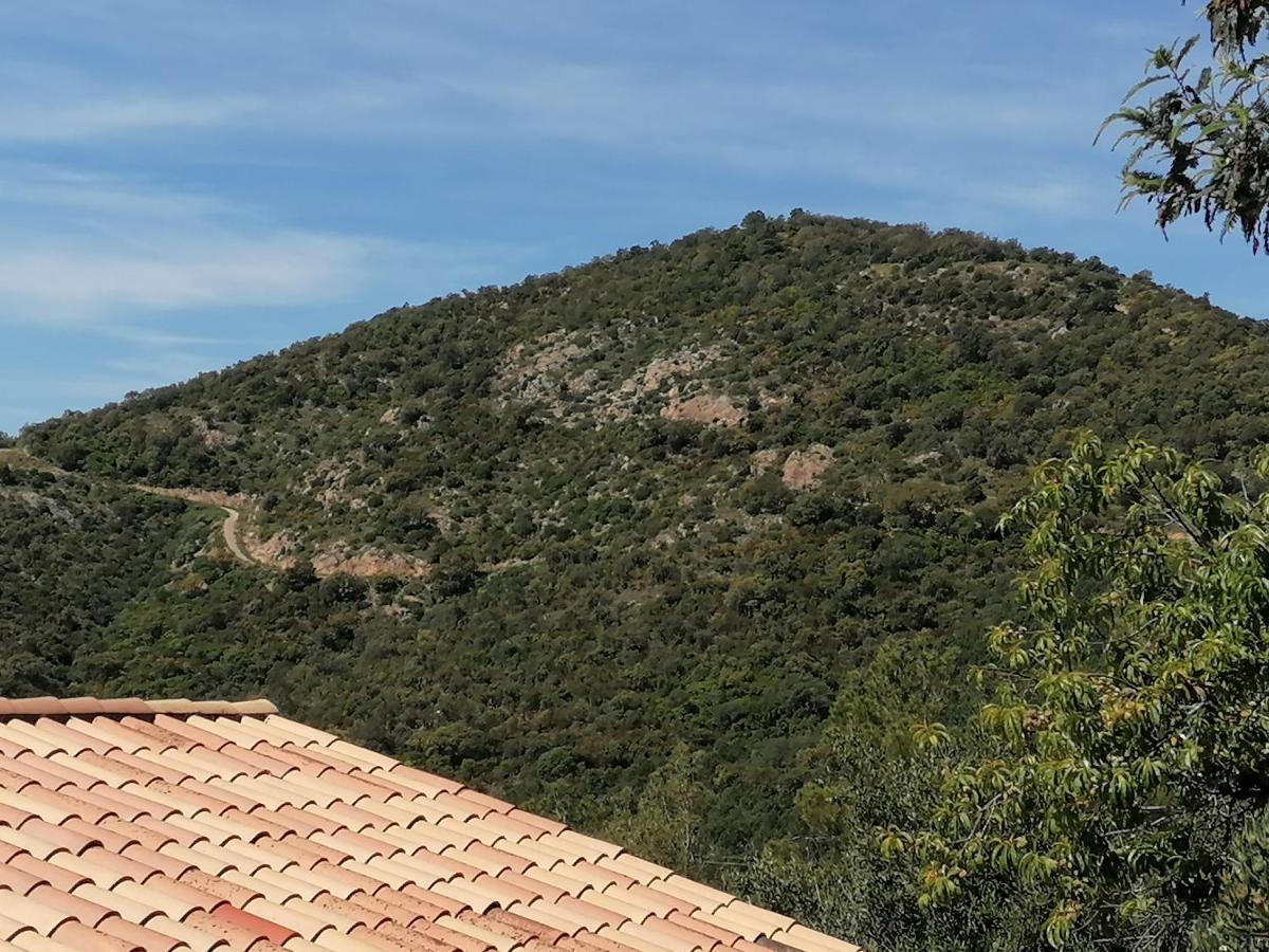 Appartement Tres Bel T3 Avec Splendide Vue